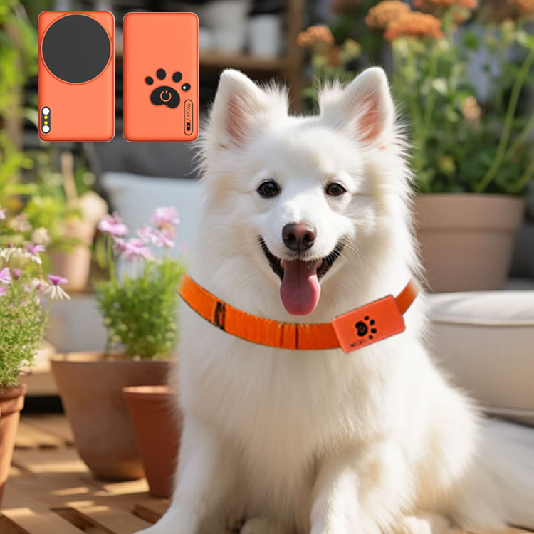 AI Wearable Pet Health Monitor – обзор и цена Breath Rate Monitor